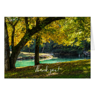 Um Lugar Sob O Cartões de agradecimentos Da Árvo