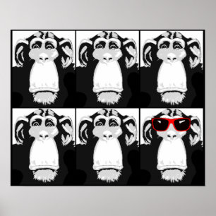 Um Macaco Legal Cartaz Divertido Sinal Impressão
