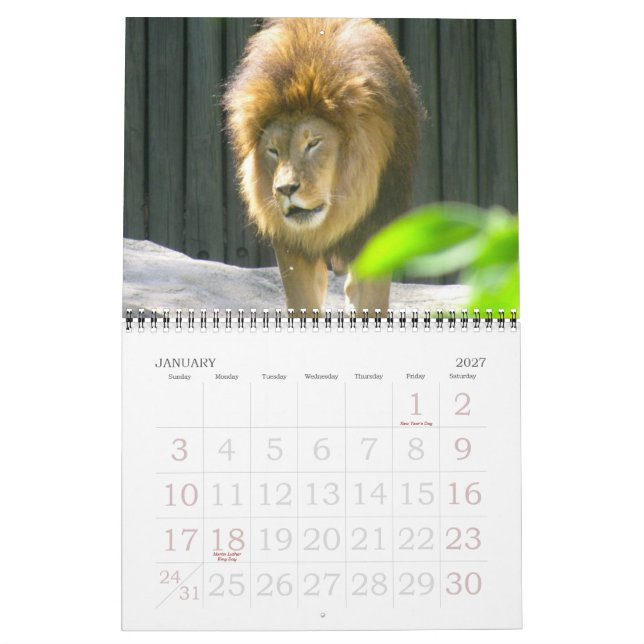 UM MUNDO do calendário dos ANIMAIS (Jan 2027)