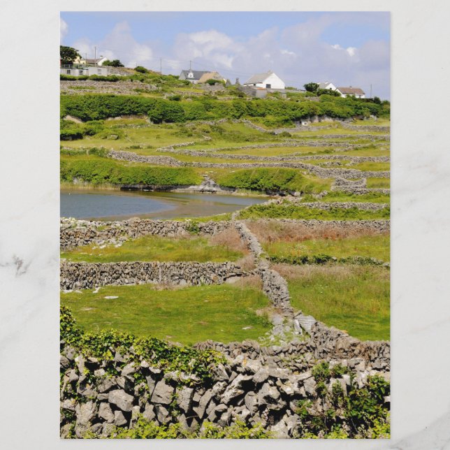 Um muro de pedra irlandês (Frente)