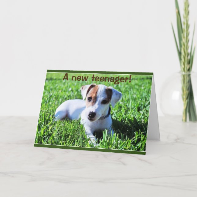 UM NOVO ADOLESCENTE VOLTA ***13*** CARTÃO (Frente)