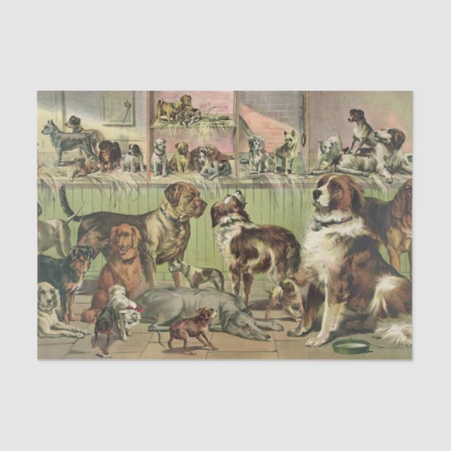 Um Papel Tecidual de Um Pêtora de Cães (Frente )