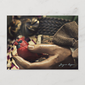 Um pássaro na mão, cartão postal (Foto a cores dig