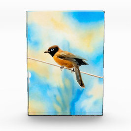 Um pássaro solitário colorido