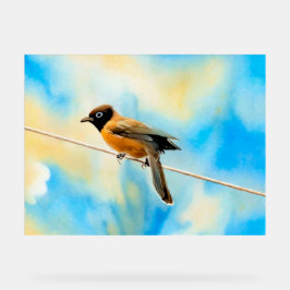 Um pássaro solitário colorido