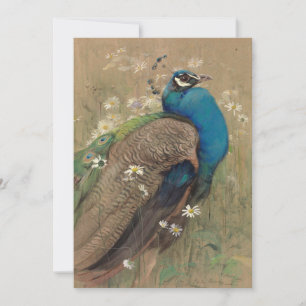 Um Pavão e Margueritas   Edwin John Alexander