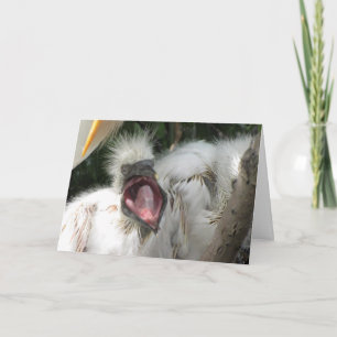 Um Pequeno Cartão de Aniversário De Pássaro