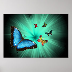 Um poster da viagem de Butterflys