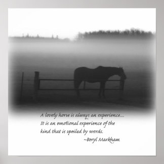 Um Poster de Cavalo Adorável