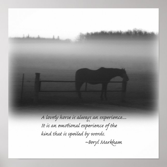 Um Poster de Cavalo Adorável (Frente)