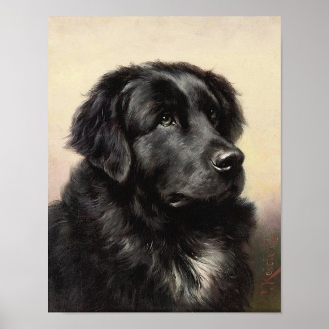 Um Poster de Terra Nova (Frente)