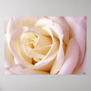 Um poster do amor, S Cyr