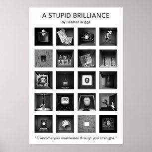 Um poster estúpido 13x19 da luminosidade