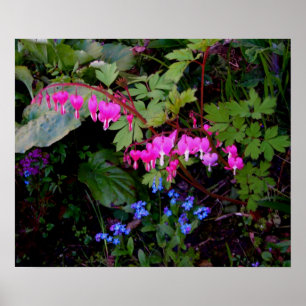 Um poster romântico da flor