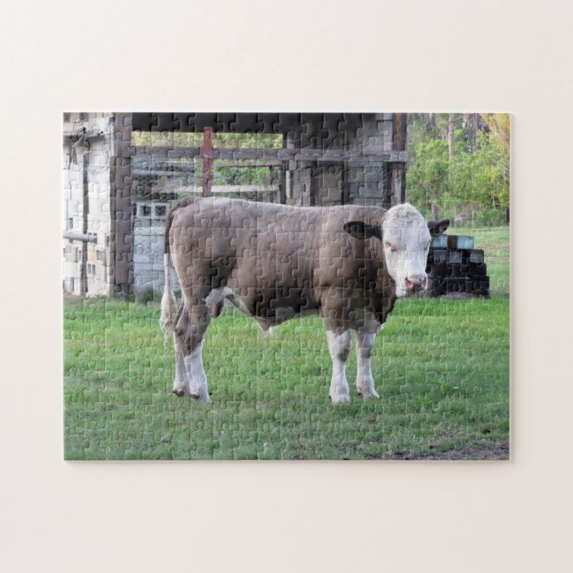Um Pouco De Touro - Fazenda de Vida Quebra-cabeça (Horizontal)