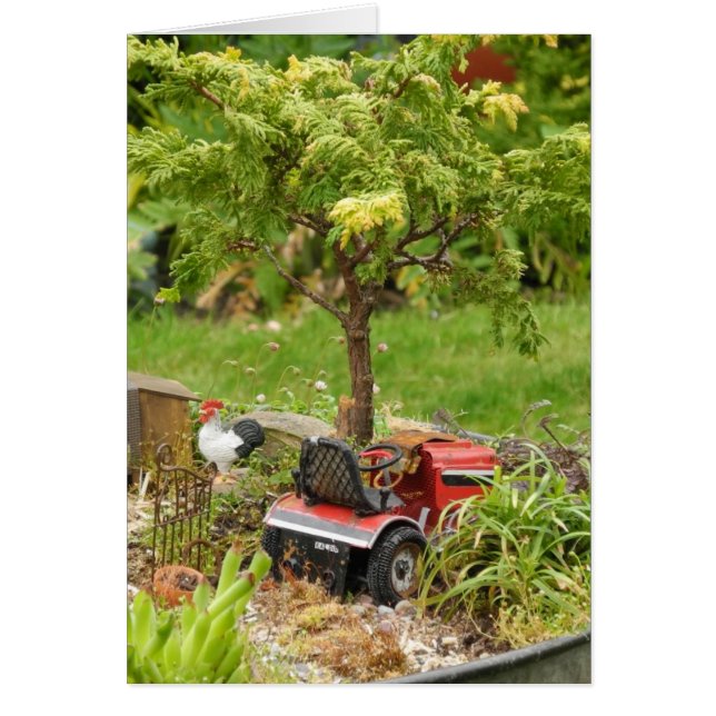 Um pouco país, cartão vazio (Frente)