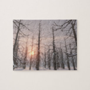 Um Quebra-cabeça de Sonho de Noite de Inverno
