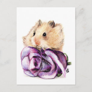 Um Rosa para cartões postais da mamãe