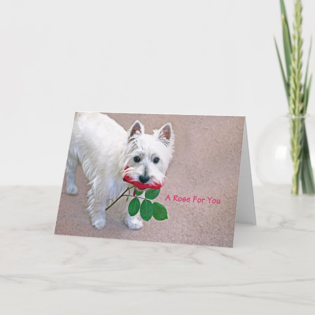 "Um Rosa para ti", cartão de boas-vindas (Frente)