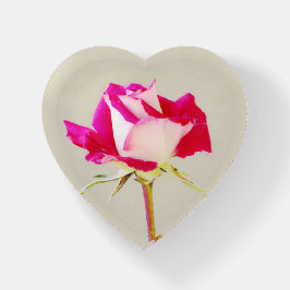 Um Rosa Rosa Rosa Rosa Rosa Flor Vidro Coração Pes