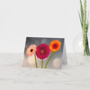 Um Trio de Cartão de Abertura Doblado de Gerberas