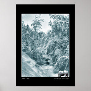 Uma bebida de Halls Brook Poster