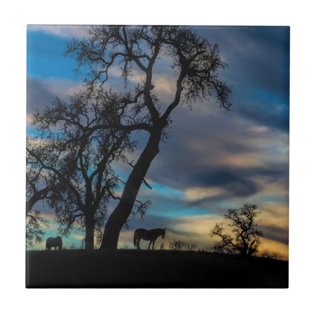Uma brecha no Azulejo de Arte de Cavalo de Tempest (Frente)