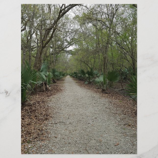 Uma caminhada na Natureza (Frente)