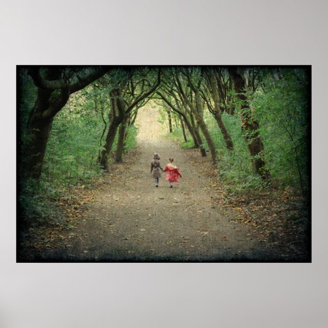 Uma Caminhada Na Poster Do Parque (Frente)