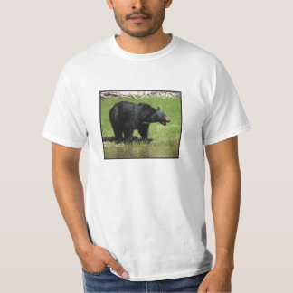 Uma camisa da Declaração de Direitos do urso