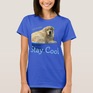Uma camiseta engraçada com um Golden Retriever.