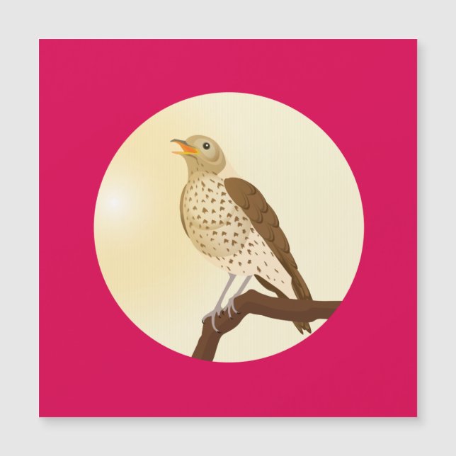 Uma canção se sentou em um galho (Frente)