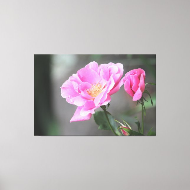 Uma Canvas Rosa Rosa Gorda (Frente)