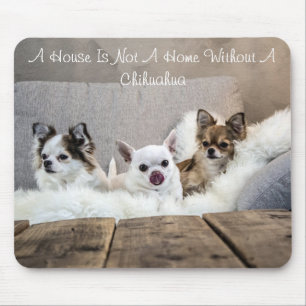 Uma Casa Não É Uma Casa Sem Um Mousepad Chihuahua