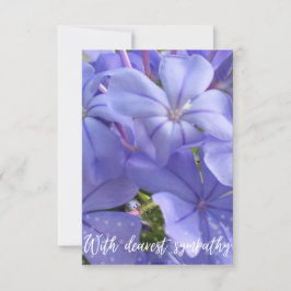 Uma dica de cartão Z "com mais simpatia"