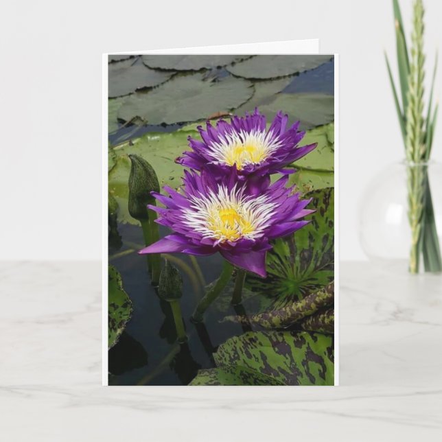 UMA FLOR BONITA PARA O CARTÃO "SEU ANIVERSÁRIO" (Frente)