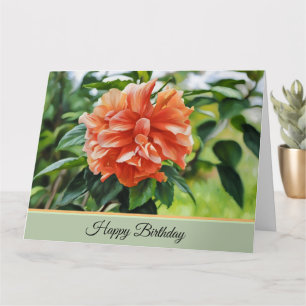 Uma Flor Bonito - Cartão de Aniversário