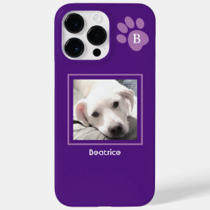 Uma Foto Cachorro Cachorro Púrpura Solteiro Nome i