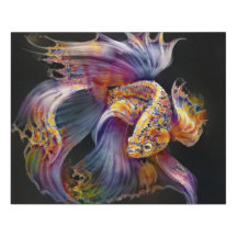 Uma fotografia de um Peixe de Aquário