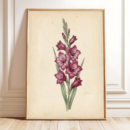 Uma Impressão Artística de Gladiolus Botânico Vint