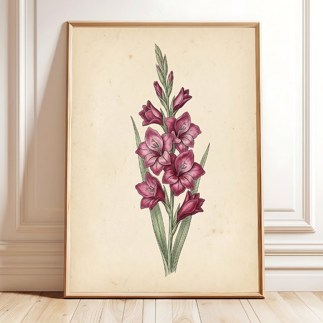 Uma Impressão Artística de Gladiolus Botânico Vint (Criador carregado)