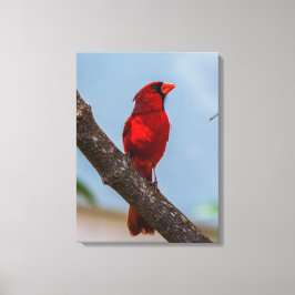 Uma impressão em tela esticada de 18 x 24 do Cardi