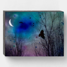 Uma Lua Crescente Brilhante