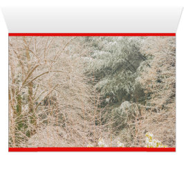 uma paisagem de inverno branca em cartão de felici