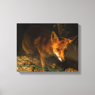 uma reunião noturna com uma raposa na canvas estic