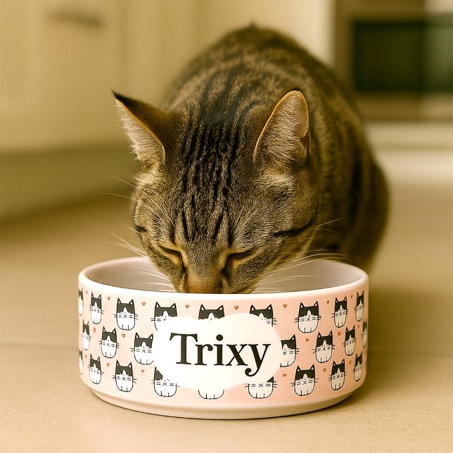 Uma tigela de gatos personalizada e fofa (Personalised  cat bowl with illustrations of cats and editable name)
