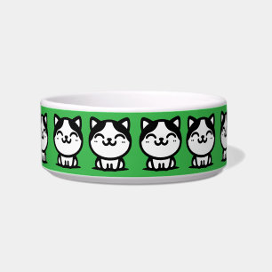 Uma tigela verde fofa para gatos