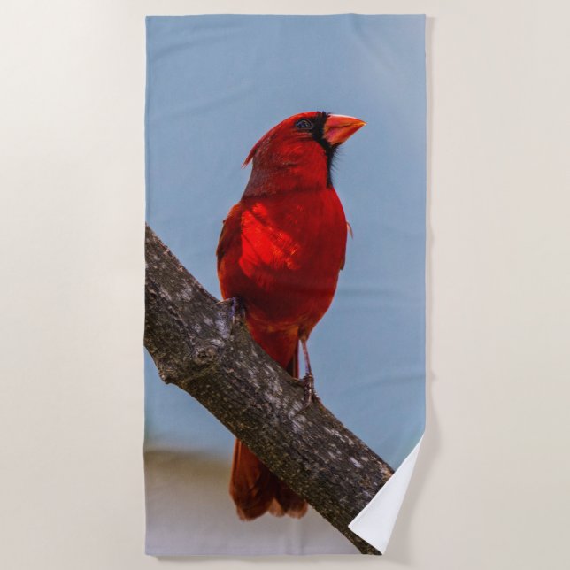 Uma Toalha de Praia Cardinal (Frente)