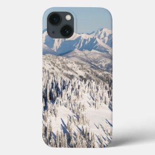 Uma vista cénico de montanhas nevado e de árvore