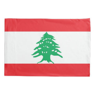 Única bandeira patriótica da fronha de almofada